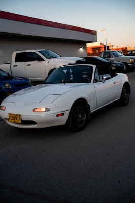 6II_9464.jpg