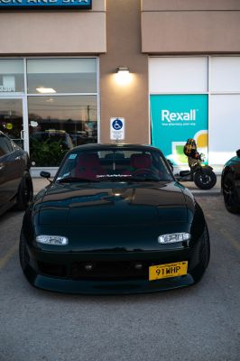 6II_9519.jpg