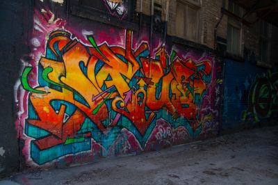 500_9878.jpg